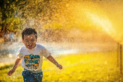 Hoe onderscheidt een educatieve kindercamping zich in Brabant?